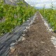 Paillage Duravigne 0.4 m - PLUS DE REAPPRO