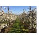 Parap 1d Arceau 3.5 m 0.7 hauteur
