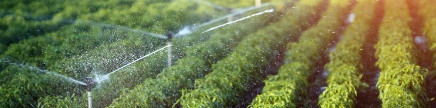 Irrigation